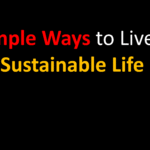 Simple Ways to Live a Sustainable Life