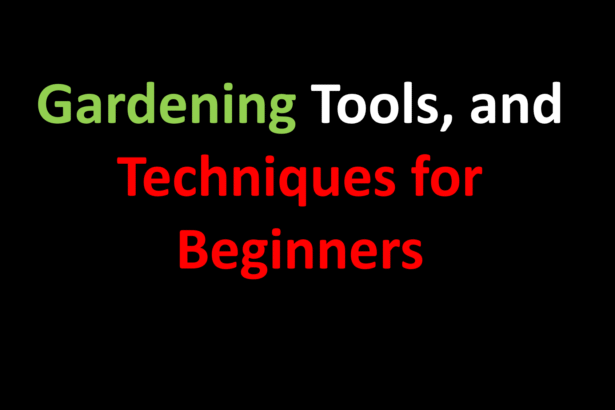 home gardening, gardening for beginners, gardening tips, vegetable gardening, herb gardening, container gardening, backyard gardening, indoor gardening, organic gardening, sustainable gardening, garden tools, soil preparation, composting, pest management, watering plants, fertilizing plants, planting seeds, growing vegetables, growing herbs, harvesting produce, garden maintenance, balcony gardening, DIY gardening, healthy lifestyle, fresh produce