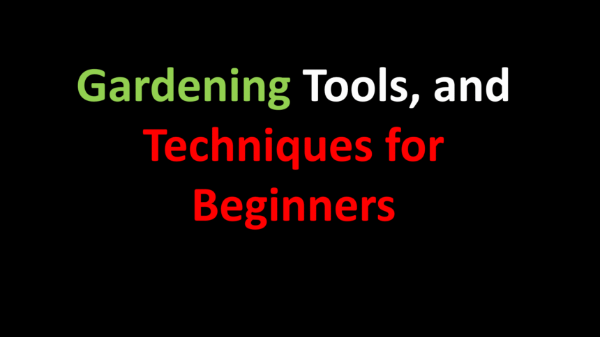 home gardening, gardening for beginners, gardening tips, vegetable gardening, herb gardening, container gardening, backyard gardening, indoor gardening, organic gardening, sustainable gardening, garden tools, soil preparation, composting, pest management, watering plants, fertilizing plants, planting seeds, growing vegetables, growing herbs, harvesting produce, garden maintenance, balcony gardening, DIY gardening, healthy lifestyle, fresh produce