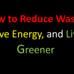 How to Reduce Waste, Save Energy, and Live Greener