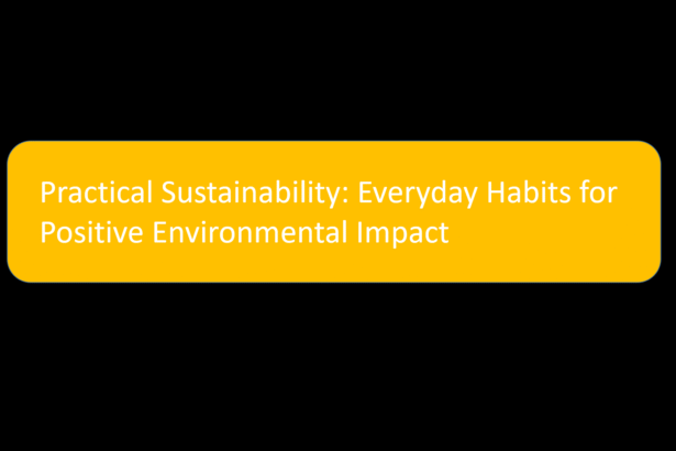 Practical Sustainability: Everyday Habits for Positive Environmental Impact
